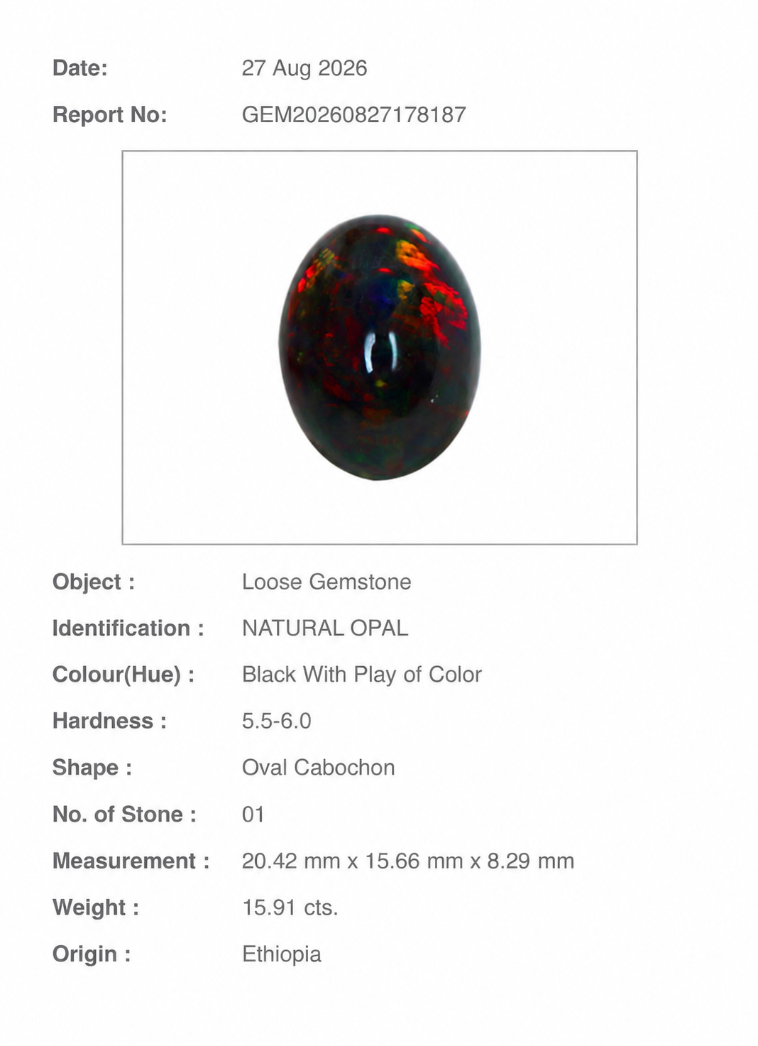 16.01 Ct Natural Black Ethiopian Opal